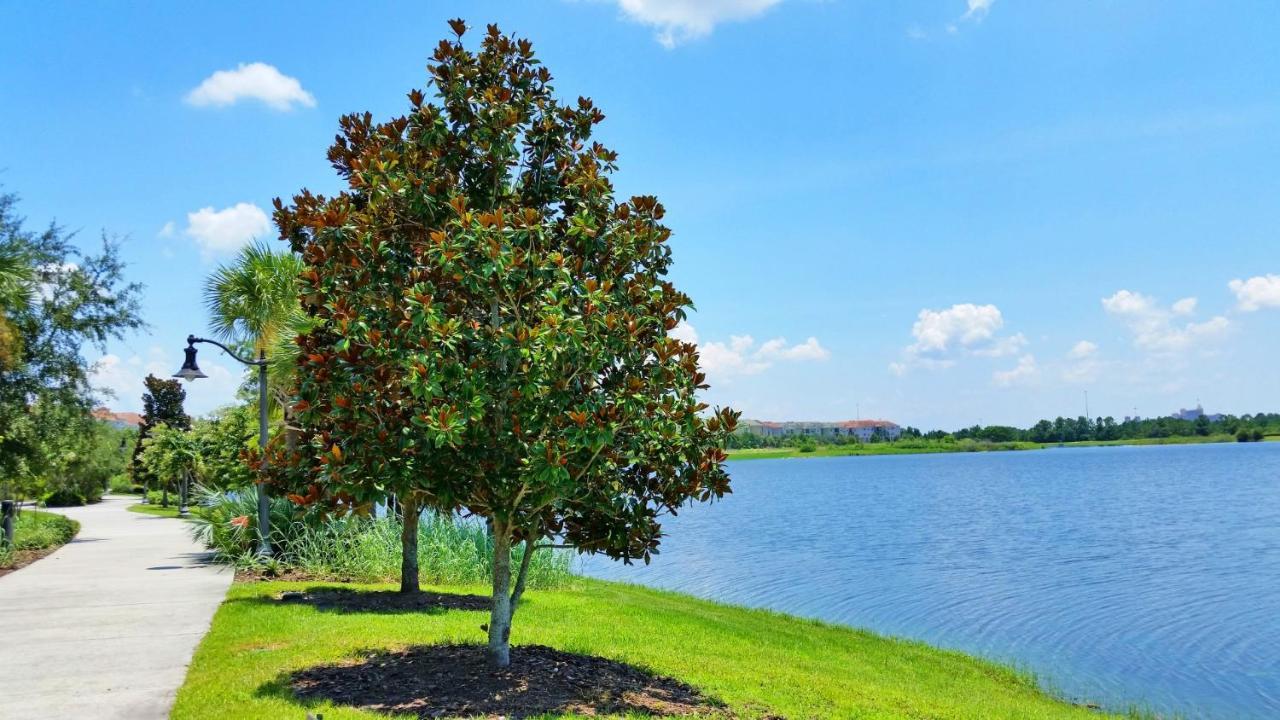 Newly Updated Condo W Scenic Resort View Orlando Ngoại thất bức ảnh